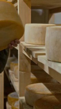 Kadın teknoloji uzmanının elleri, günlük kabuk yıkama tedavisinden sonra peynir çarkını rafa kaldırıyor.