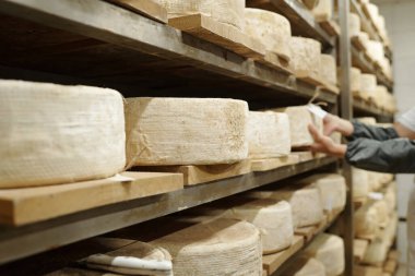 Mahzendeki ahşap raflarda yaşlanan çoklu peynir çarkları kırsal ve geleneksel atmosfer yaratarak peynir kabuklarının detaylı dokularını yakalıyor.