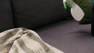 Tanımlanamayan temizlikçinin eldivenli ellerine yakın çekim. İç mekânda bez ve sprey ile kanepeyi dezenfekte etmek.