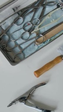 Evcil hayvan ve hayvanların klinik prosedürü, tedavisi veya ameliyatı için hazırlanan tepside bulunan metal veya çelik tıbbi ve cerrahi aletlerin dikey çekimi