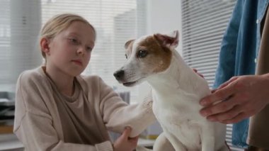 Yakışıklı Jack Russell Terrier 'ı sıhhiye odasında kucaklayan genç adamın eli. Bu arada sevimli sarışın kız babasının ve evcil hayvanının önünde durup evcil hayvana bakıyor.
