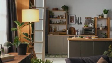 Tarz sahibi aile evinde kullanışlı mutfak alanı olan oturma odası, raflar, dolaplar, yanan zemin lambaları, yeşil saksı bitkileri olan doğal güpegündüz çekimler yok.