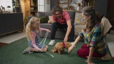 Eksik uzuvları olan beyaz bir baba, anne, genç bir çocuk ve kızının evde kürklü evcil maltipoo köpeğiyle oynaması ve hafta sonları birlikte vakit geçirirken köknarını okşaması.