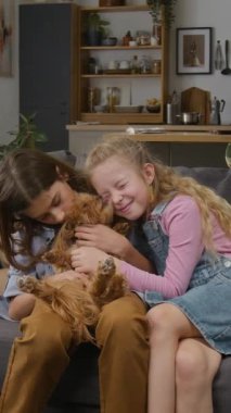 Orta boy, dikey, mutlu, beyaz kardeşlerin oturma odasında kanepede dinlenirken, küçük kahverengi tüylü köpeğe sarılırken, yeni yavru köpek almaktan heyecan duyarken, mutlu bir kızın maltipoo yalayan yüzünü çekerken.