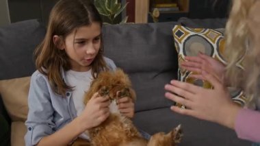 Neşeli Kafkas kardeşlerin, genç bir çocuğun ve 8 yaşındaki bir kızın evde küçük tüylü kahverengi evcil köpeğiyle el çırpma oyunu oynarken birlikte eğlendikleri orta boy yakın çekimleri.