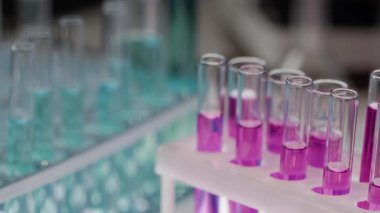 Laboratuvarda plastik standa koyulan mor maddeyle dolu birkaç test tüpünün seçici odak çekimi yok.