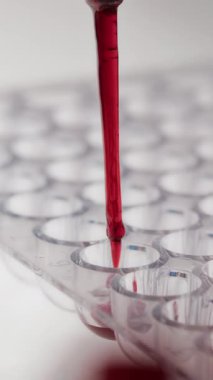 Kanın damlatıcıdan damlayan dikey makro görüntüsü beyaz masadaki plastik laboratuvar test plakalarının küçük kuyularına damlıyor.