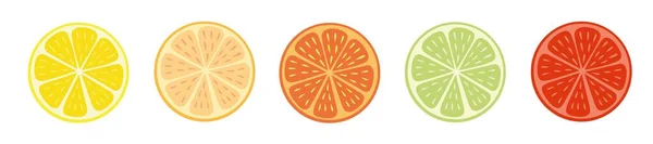 Citrusvruchten Schijfjes Witte Achtergrond Vector — Stockvector