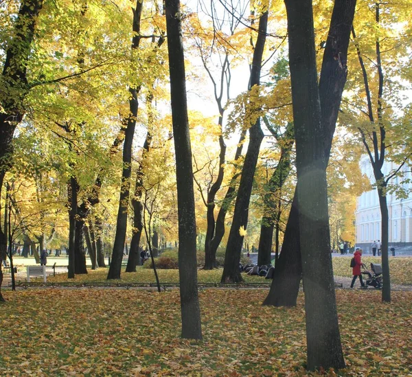Луговой Пейзаж Осеннего Городского Парка — стоковое фото