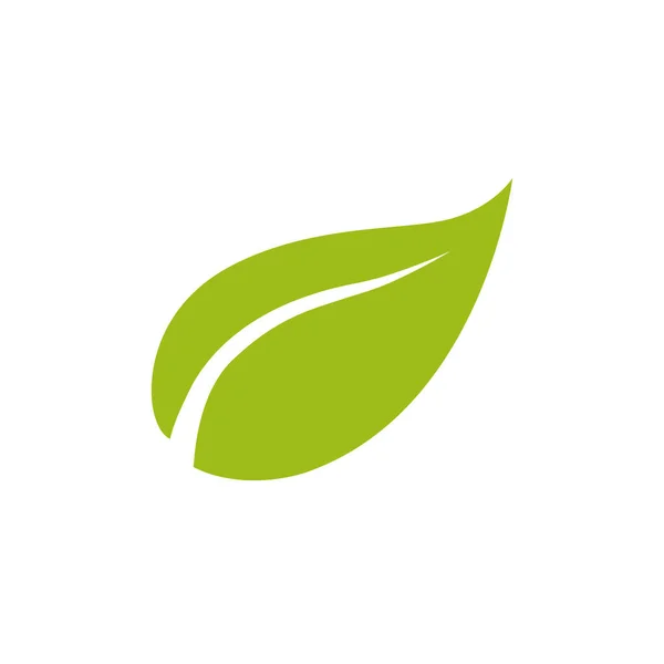 Grüne Natürliche Blattzeichnung Vektor — Stockvektor