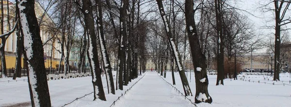 Télen Gyönyörű Park Sok Nagy Fák Padok Kerti Ösvény — Stock Fotó