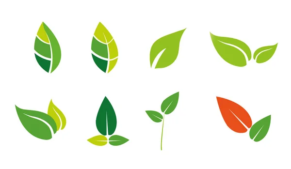 stock vector Leaves icon vector set isolated on white background. Various shapes of green leaves of trees and plants. Elements for eco and bio logos. Vector