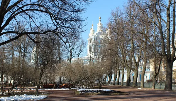 Vista Para Catedral Smolny Parque Smolny Dia Inverno Ensolarado Sankt — Fotografia de Stock