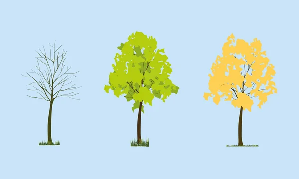 Diferentes Épocas Árvore Arte Ilustração Vetorial — Vetor de Stock