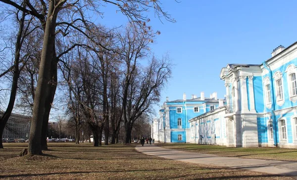 Alley Smolny Park Solig Vinterdag Sankt Petersburg Ryssland — Stockfoto