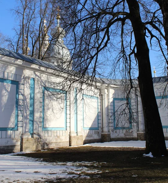 Smolny Parkin Kuja Aurinkoinen Talvipäivä Sankt Petersburg Venäjä — kuvapankkivalokuva