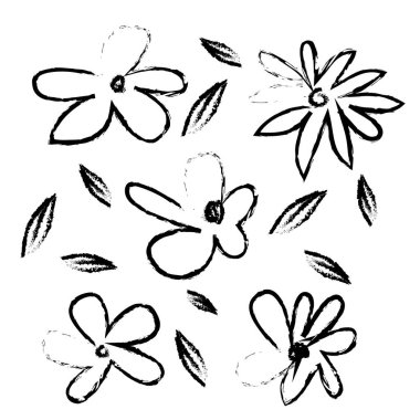 Papatya çayı el çizimi siyah boya vektör seti. Mürekkep, çiçek ve bitkiler çiziyor, botanik kaba çizimler çiziyor. Çiçek elementleri, papatya, paskalya, kasımpatı. Çizgi çocuksu çizimler
