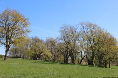 büyük kent park Panoraması