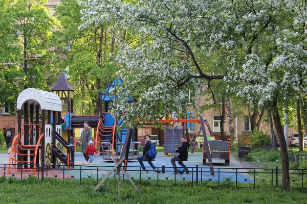 Stadspark Med Vita Blommande Blommor Och Blommande Träd Våren — Stockfoto