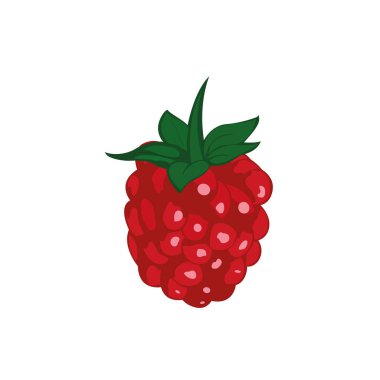 Ahududu yaprağı vektör simgesi olan. Ahududu simgesi clipart. Ahududu çizgi film.