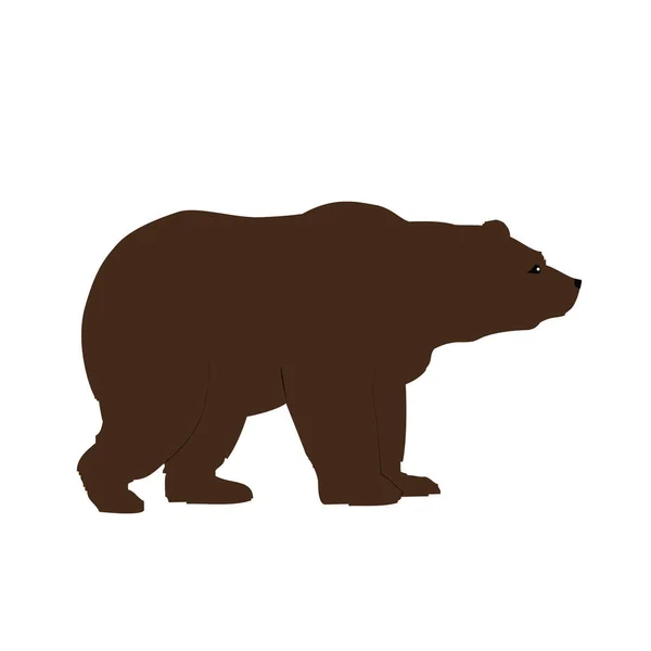 Grizzlybär Seitenansicht Isoliert Tiere Und Wildtierkonzept — Stockvektor