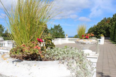 Çiçek saksıları olan bir park sokağı. Estonya 'daki Toila-Oru Parkı.