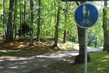 Güneşli yaz gününde yeşil şehir parkı