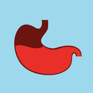 İnsan mide ikonu. Sindirim sistemi anatomisi. İnsan iç organları sembolü. Vektör illüstrasyonu.