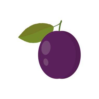 Plum Illustration - Sapı ve yaprağı beyaz arkaplanda izole edilmiş erik