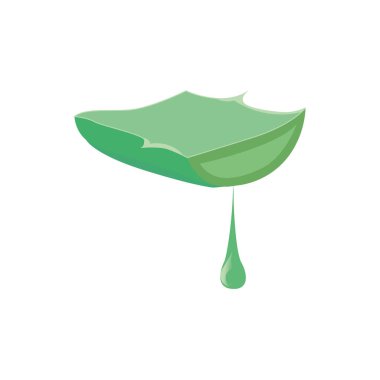 Gerçekçi yağ esanslı kesilmiş aloe vera yaprağı. Doğal yeşil organik dermatolojik ürün. Cilt sağlığı için vitaminler..
