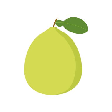  Sarı pomelo clipart. Basit pomelo meyve düz stil vektör tasarımı çizimi izole edildi. Sağlıklı yaşam için yaz meyveleri. Organik meyve. Sonbahar ortası meyve festivali konsepti