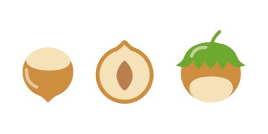 Soyulmuş fındık, beyaza yarı yarıya bölünmüş..