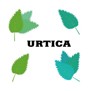  Nettle yeşil vektör çizimi. 