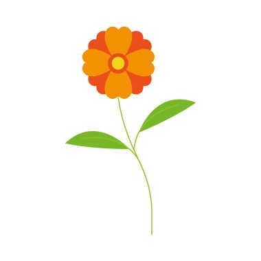 Turuncu çiçekli düz ikon, bitki ve doğa, papatya burcu, renkli katı desen