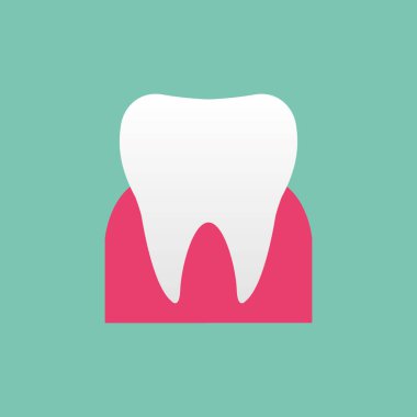 Sağlıklı dişleri olan temiz beyaz azı dişi. Çocuklarda diş çürümesini önlemek için diş fırçalama fikirleri.