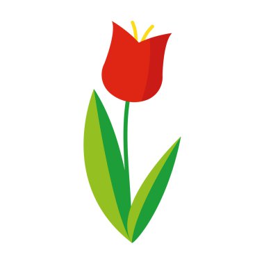 Şirin pembe bir lale çizimi. Pembe lale sembolü. pembe lale simgesi.