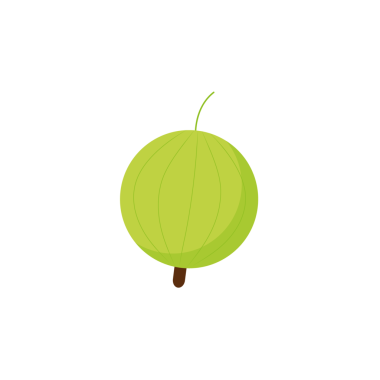 Bektaşi üzümü vektör sağlıklı yiyecek doğal vitamin kaz üzümü yeşil izole illüstrasyon