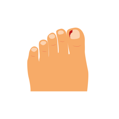  Ayak çizgi filmi. Duvar kağıdı. Metin için boş alan. kopyalama alanı. Yırtık tırnaklar.