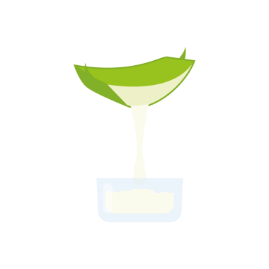 İlaç bitkisi aloe vera ve sulu gövde. El çizimi bitki düz çizim tarzında..