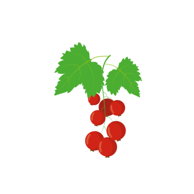  Olgun, lezzetli, kırmızı kuşüzümü