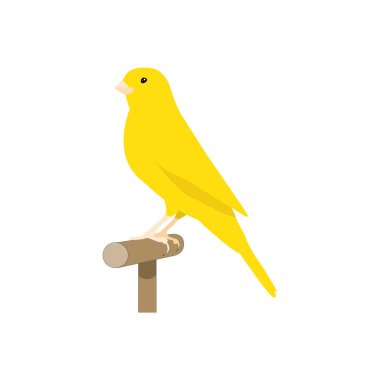 Sevimli sarı kanarya kuşu izole, evcil hayvanlar konsepti