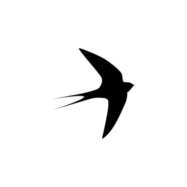 Beyaz arkaplan vektör illüstrasyonunda izole edilmiş siyah kuş ya da swiftlet silueti yut