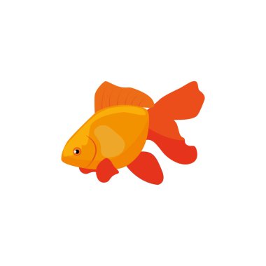 goldfish cartoon icon isolated design