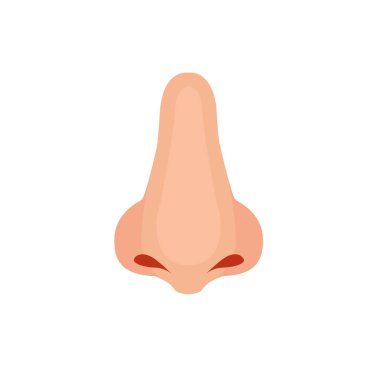 İnsan burnu, Vektör illüstrasyon simgesi tasarımı