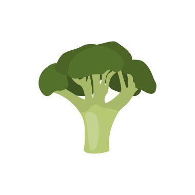 Taze brokoli ikonu. Web tasarımı için taze brokoli vektör simgesi