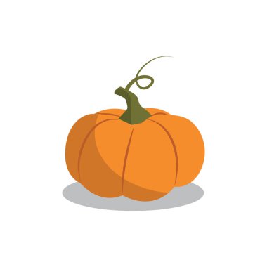  Orange Pumpkin Isolated on White Background with Shadow