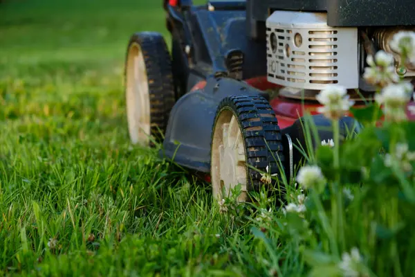 Rasenmäher Auf Grünem Grashintergrund Benzinmaschine Zum Schneiden Gartenpflege Elektrische Geräte Stockbild