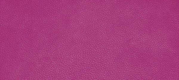 Piel Genuina Textura Fondo Púrpura Tono Rosa Llamado Festival Fucsia — Foto de Stock