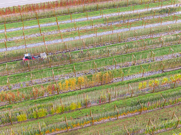 Luchtfoto Van Een Boomkwekerij Met Gele Rode Rode Groene Planten — Stockfoto