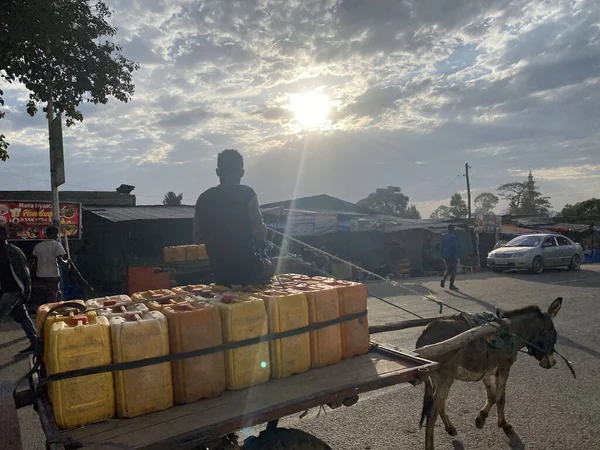 埃塞俄比亚亚的斯亚贝巴 2023年1月9日 一个人用驴子拉的战车载着黄色罐装饮用水的人 他正在前往亚的斯亚贝巴的路上 在灯光下拍照 — 图库照片